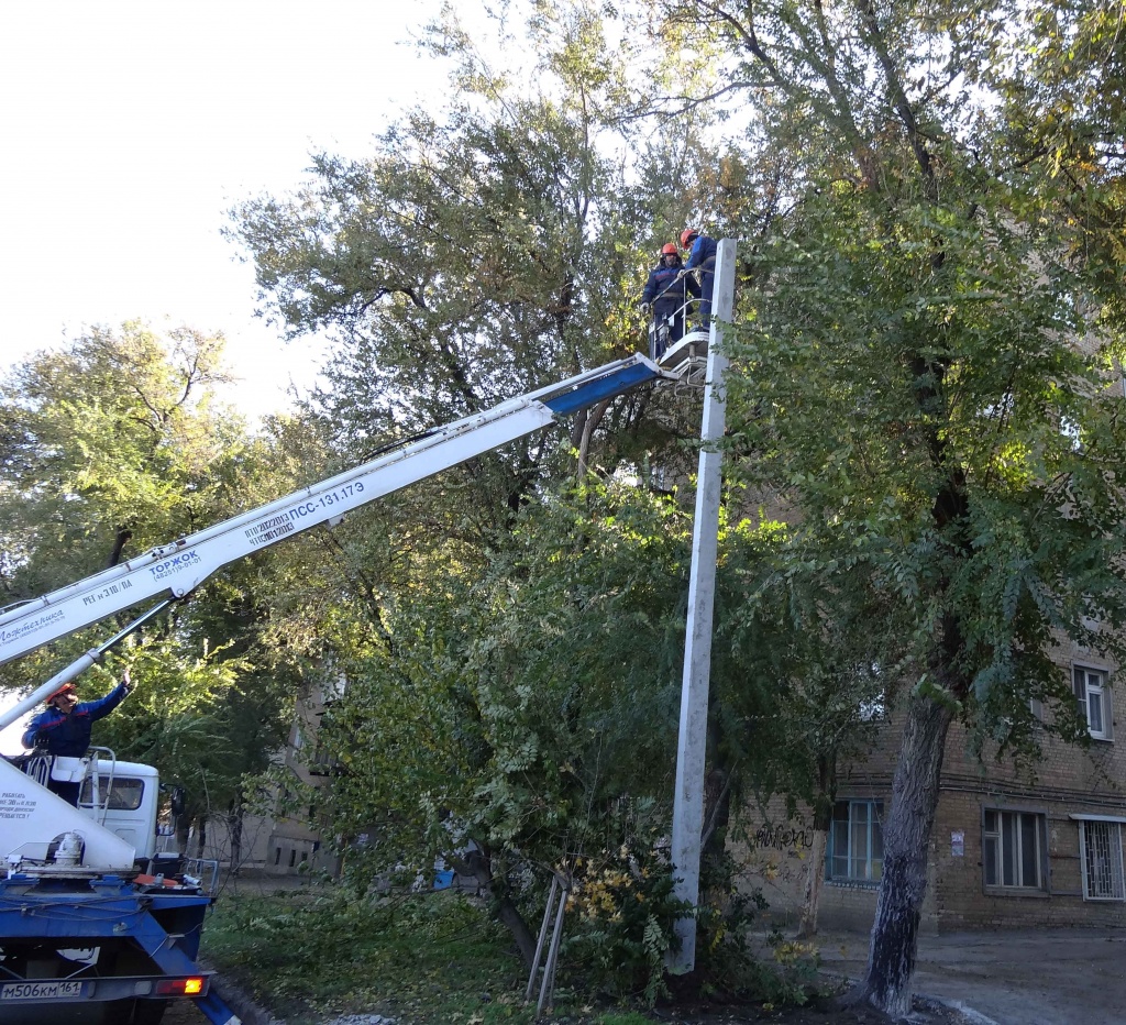 Обрезка деревьев.jpg